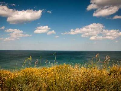 Today's NYT Mini Crossword Answers for Tuesday, April 14