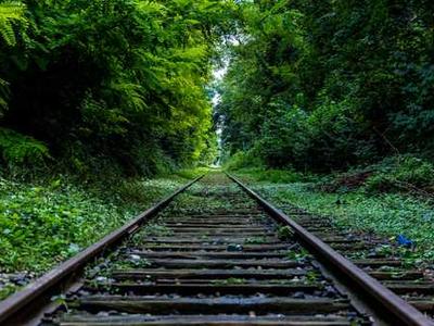 Someone planted backdoors in dozens of WordPress plug-ins used in thousands of websites