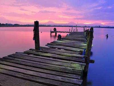 The Impossible Garden of Clara Thorne