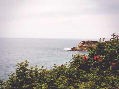 The Impossible Garden of Clara Thorne