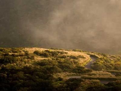 2025-2026 Dream with Us Design Challenge Winners