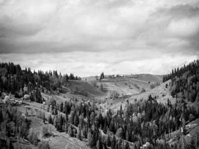 Graco Car Seats Recall: What You Need to Know and More Consumer Insights